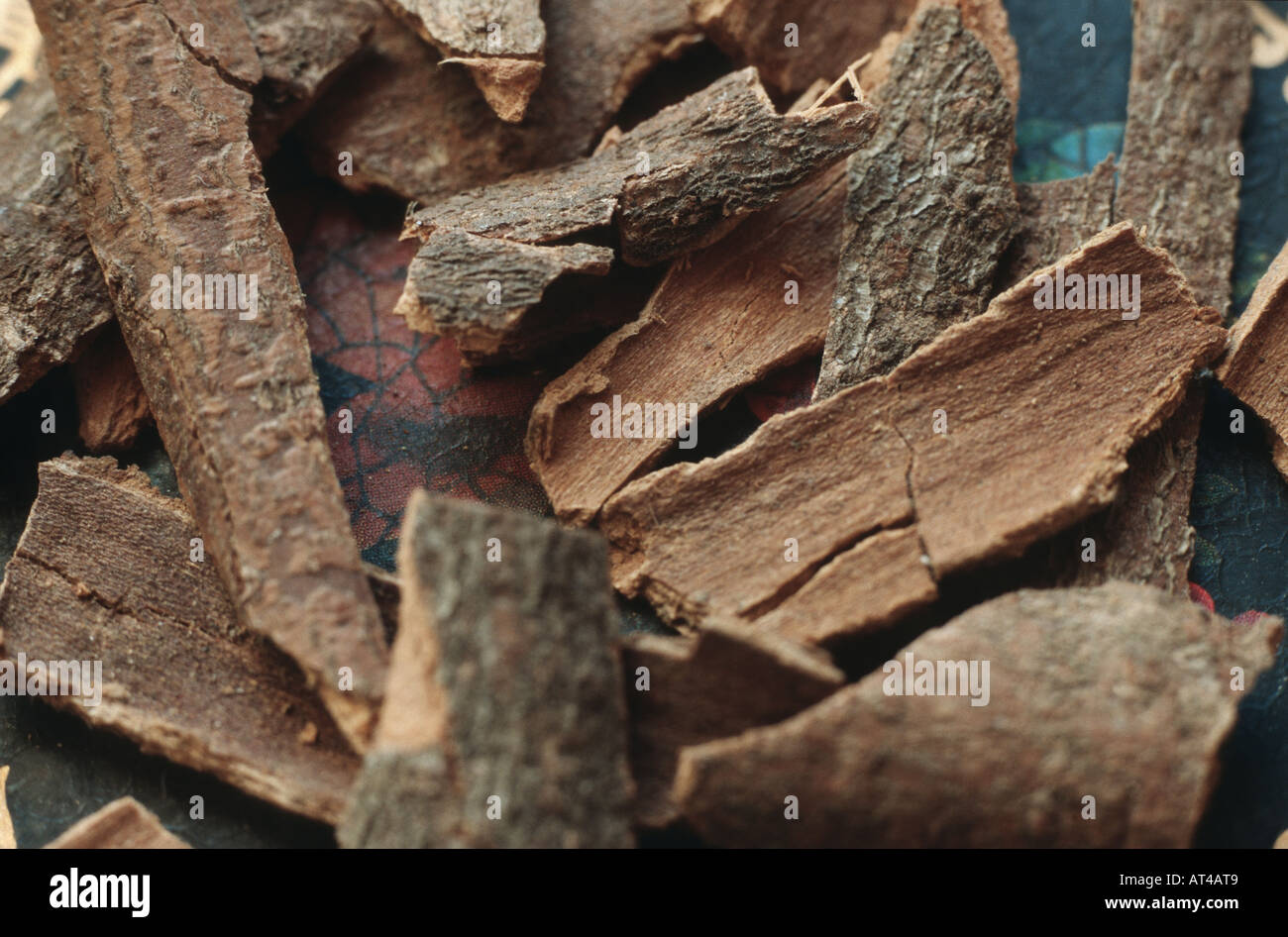 cinnamon (Cinnamomum spec.), bark Stock Photo Alamy