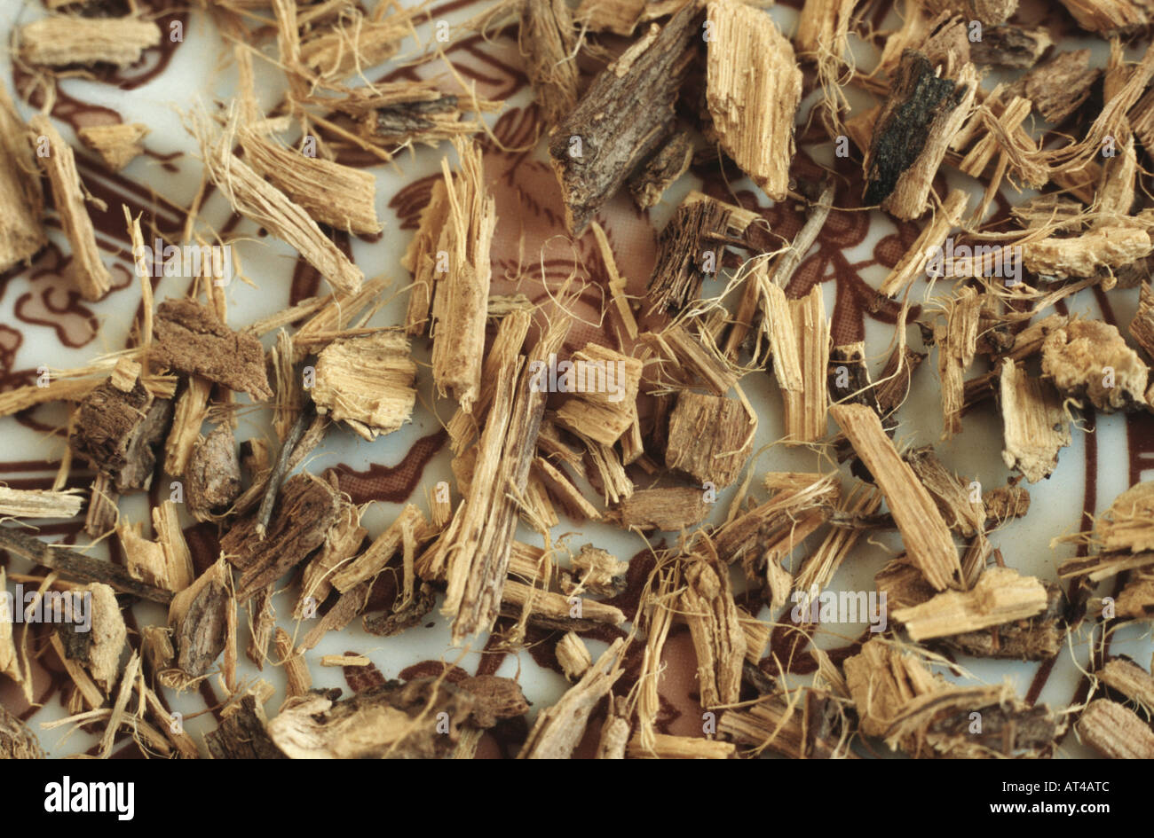 common liquorice, cultivated licorice, licorice, liquorice, sweet licorice, sweet wood, true