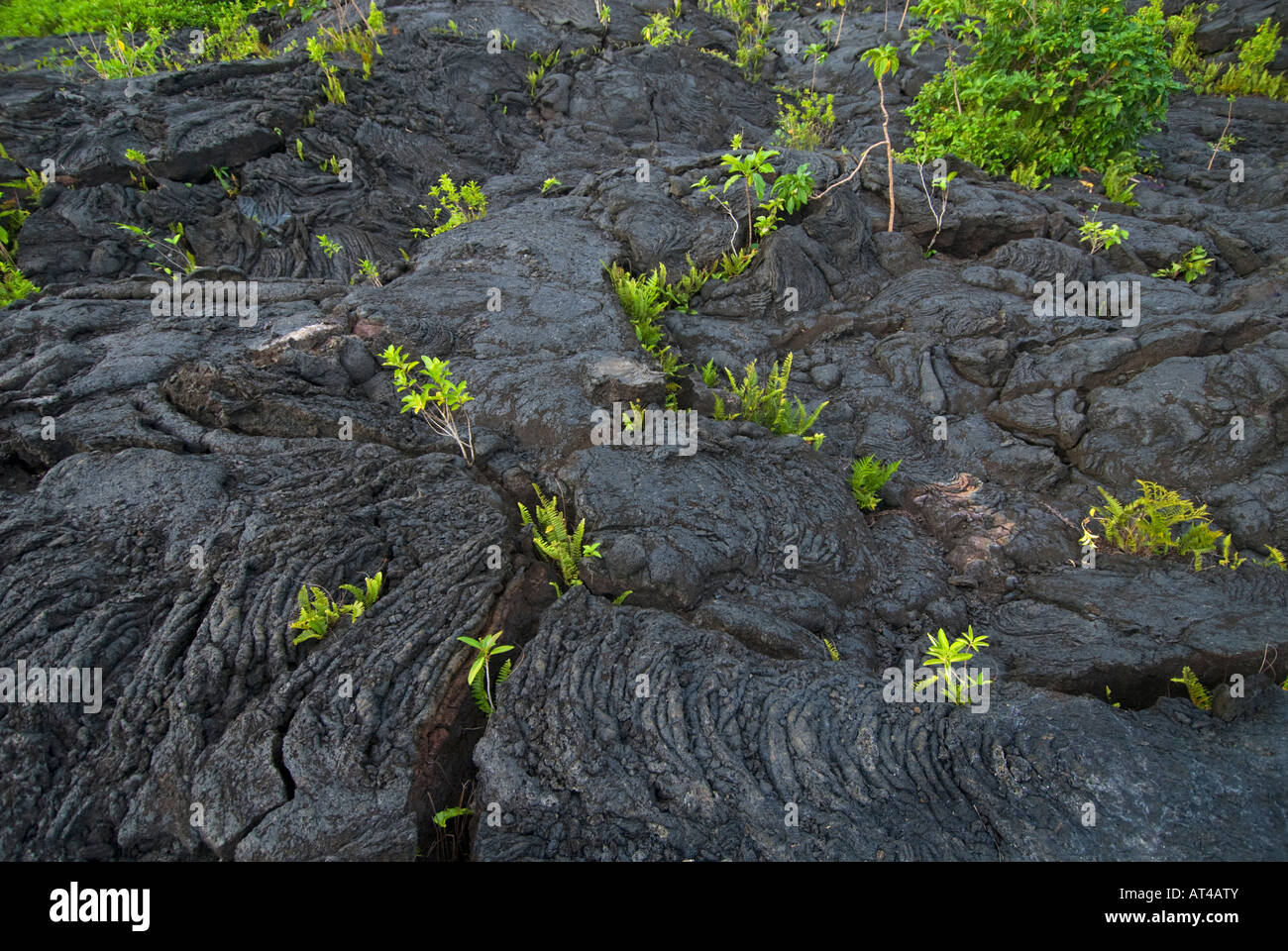 Saleaula lava field hi-res stock photography and images - Alamy