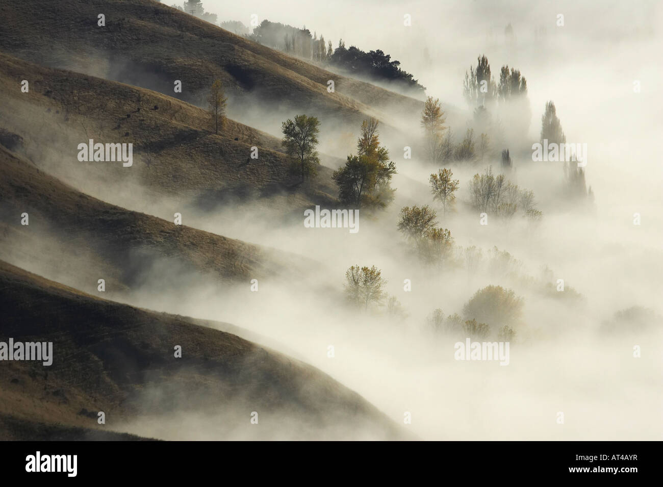 View from Te Mata Peak and Early Morning Mist along Ridgelines Hawkes Bay North Island New Zealand Stock Photo