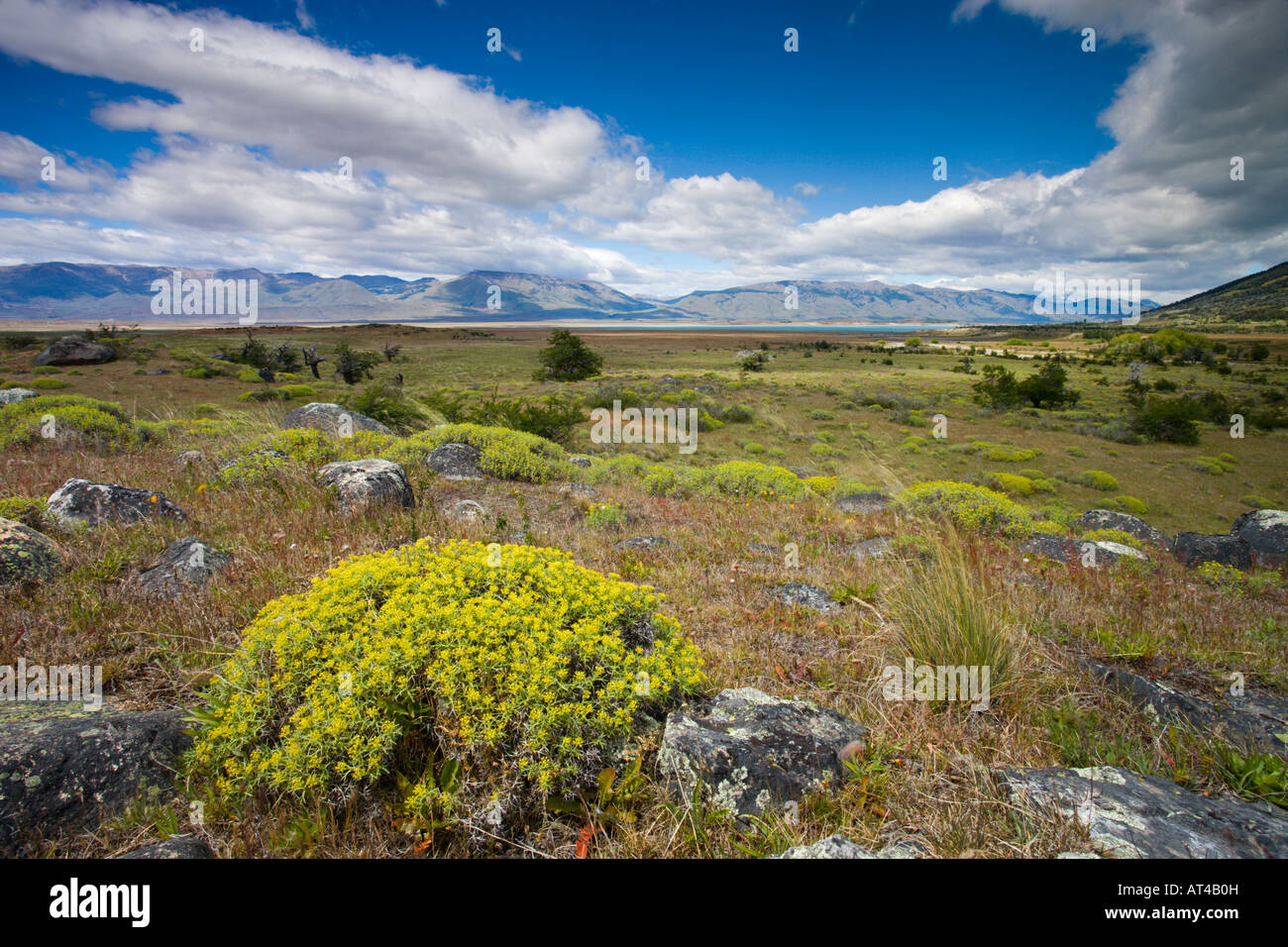 Summer on the Patagonian Steppe, Argentina Stock Photo