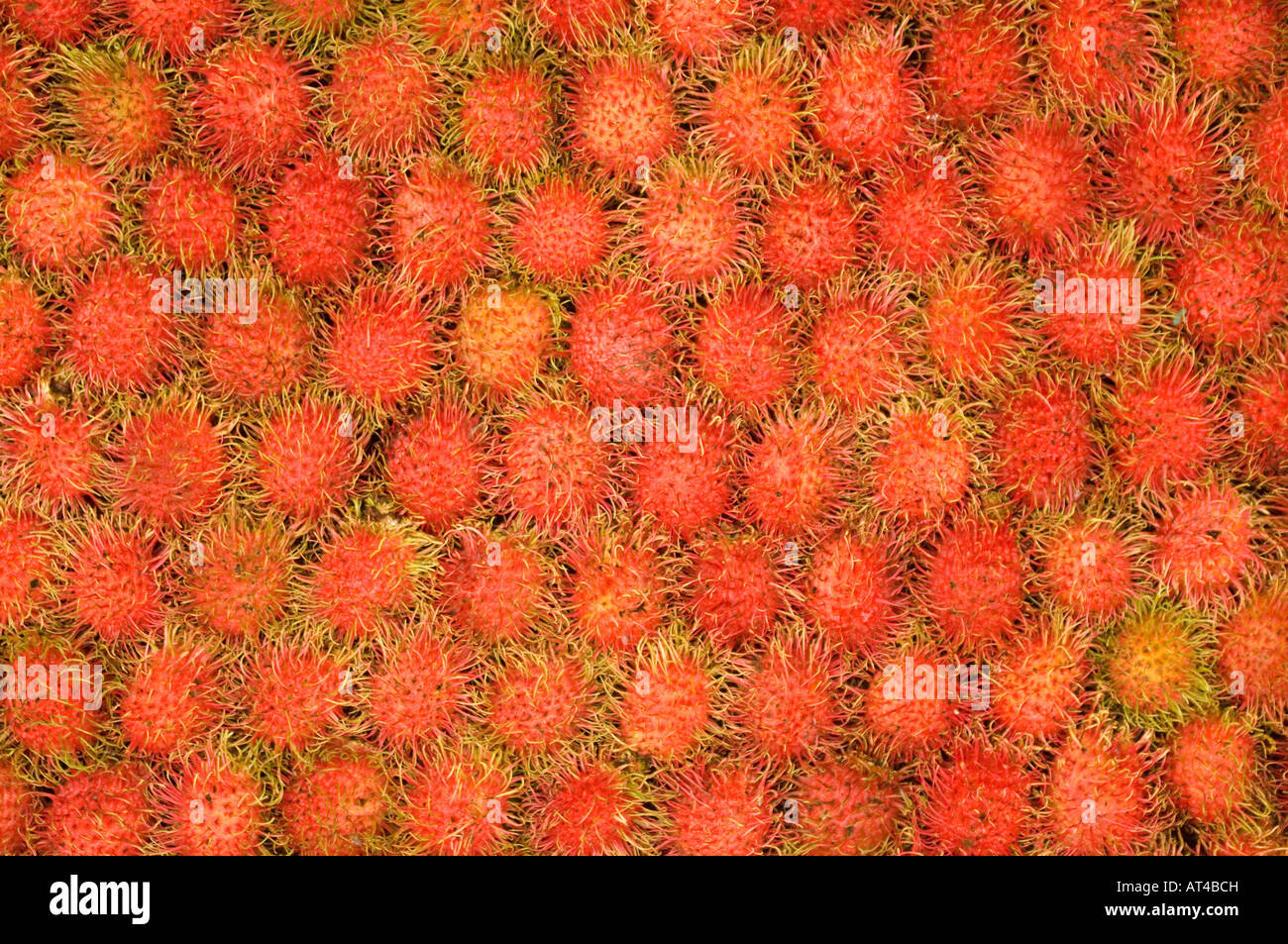 Rambutan Sale Market Stock Photos Rambutan Sale Market   Rambutan Sale Market Stock Photos Rambutan Sale Market