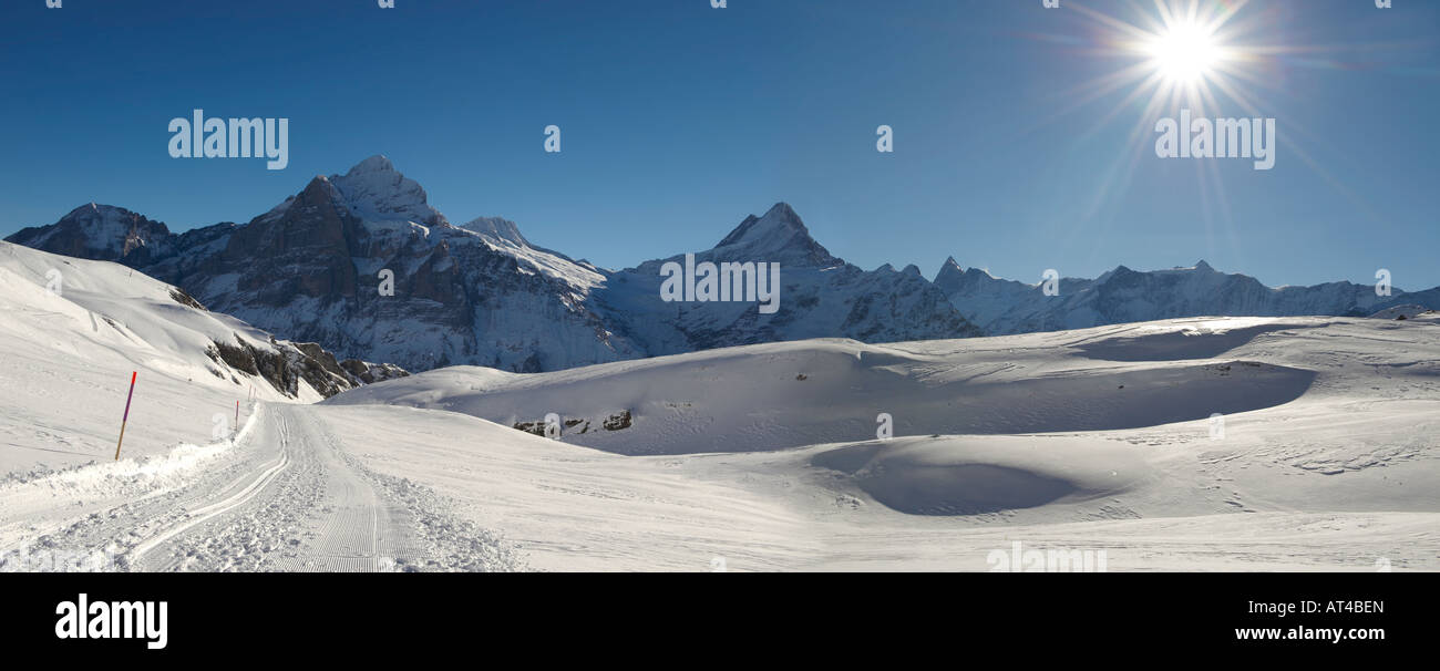 Sledge and toboggan run from Grindelwald First to Bort with from the