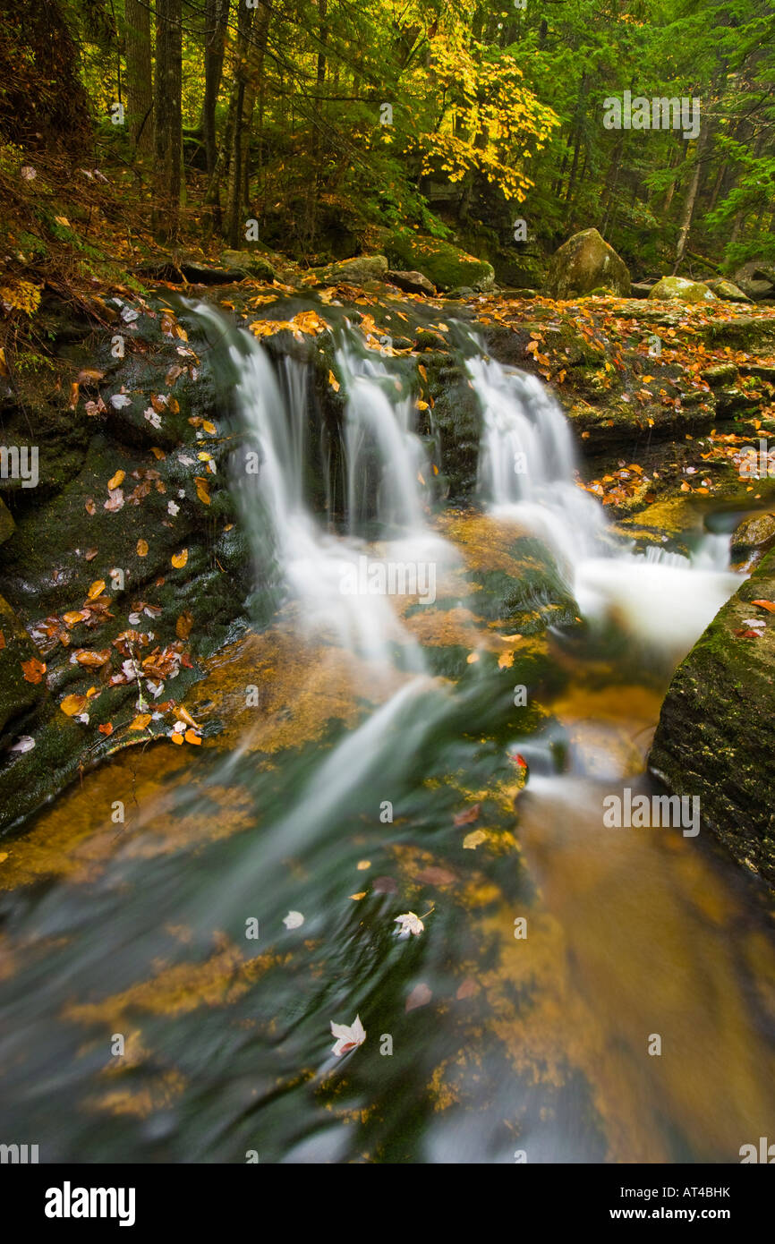 A tributary of the Baker River cascades through a hemlock forest in