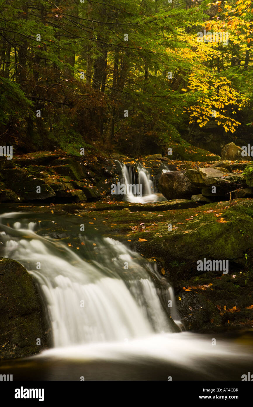 A tributary of the Baker River cascades through a hemlock forest in
