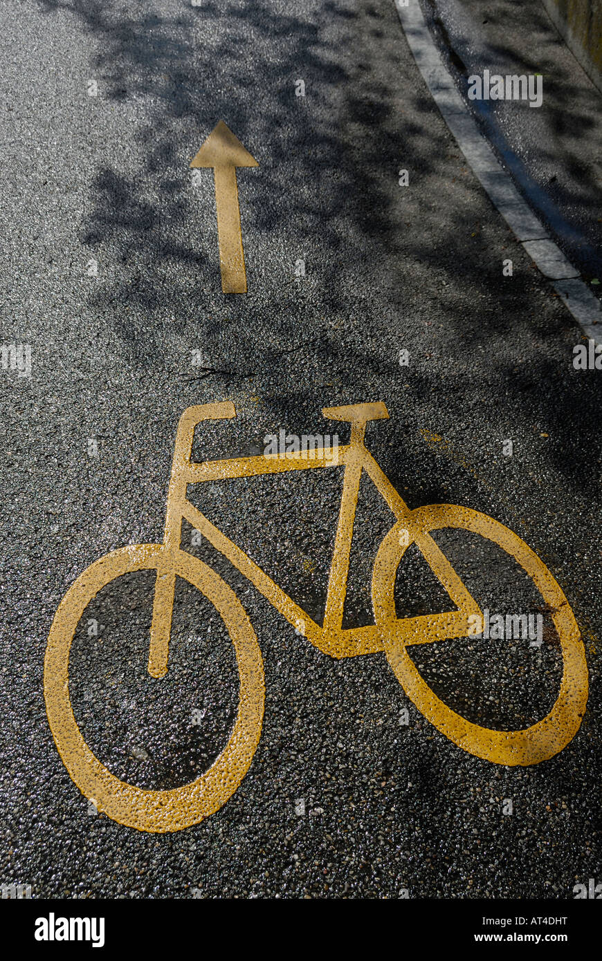 Yellow bicycle sign with arrow painted on wet road. Stock Photo
