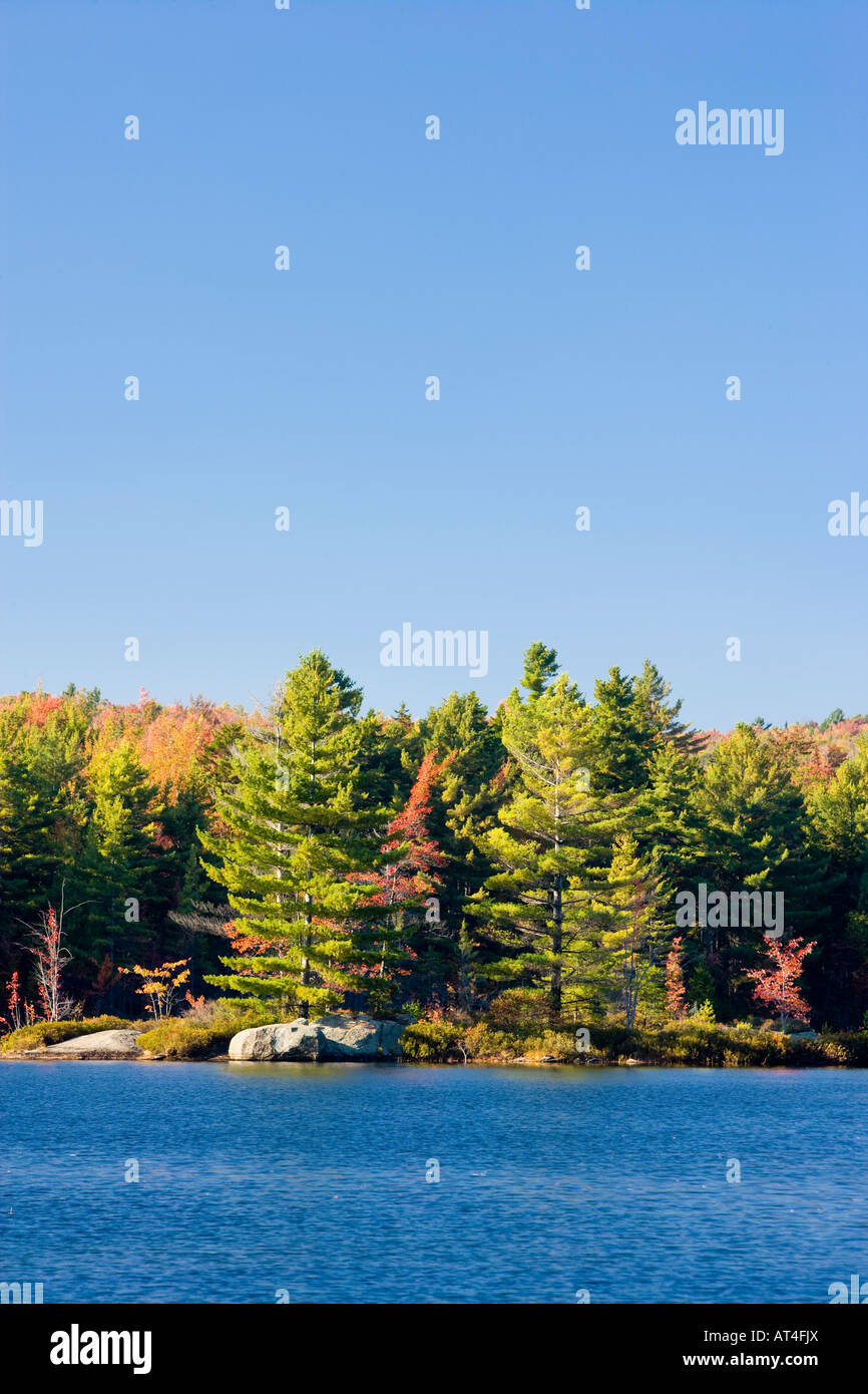 Long Pond in Lempster, New Hampshire Stock Photo Alamy