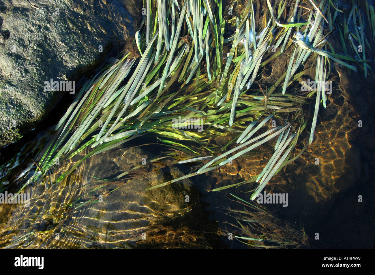 Water flow close up hi-res stock photography and images - Alamy