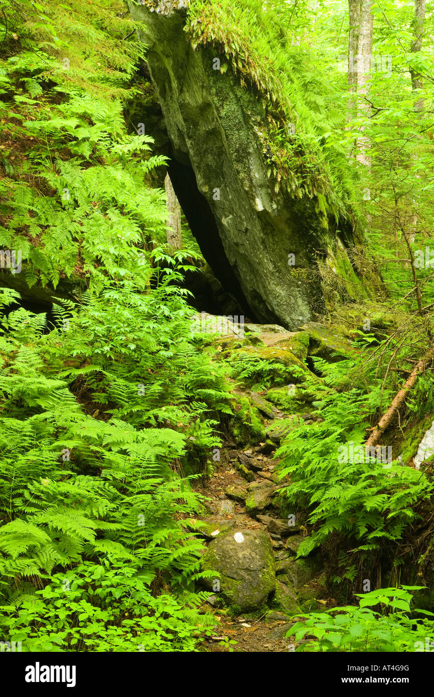 Devils gulch in eden vermont hires stock photography and images Alamy