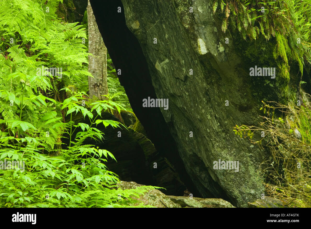 Devils gulch in eden vermont hires stock photography and images Alamy