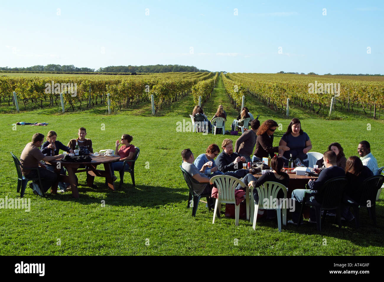Pindar Vineyards at Peconic on Long Island New York USA. Visitors