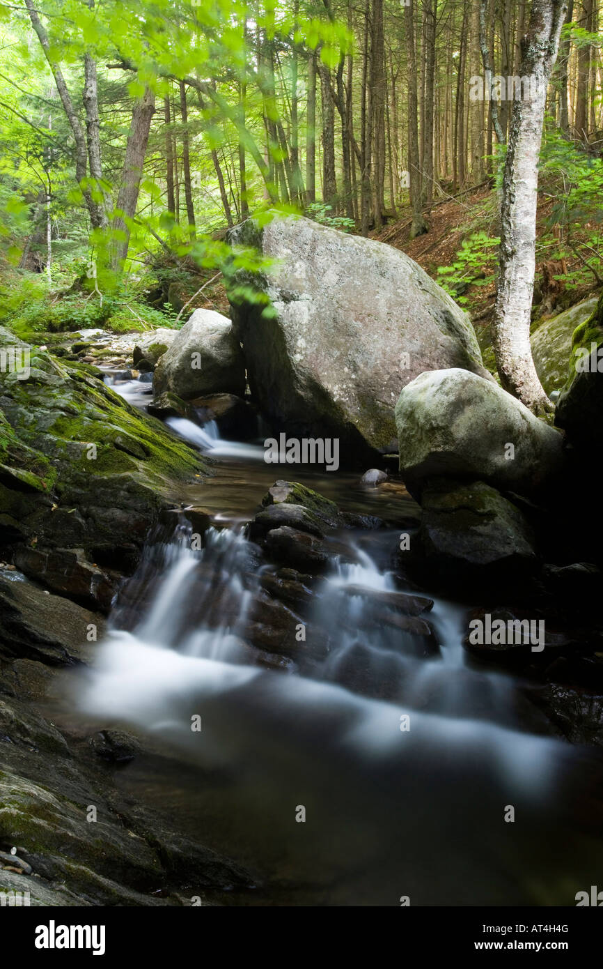 Cobb Brook in Vermont's Jamaica State Park. Jamaica, Vermont. West