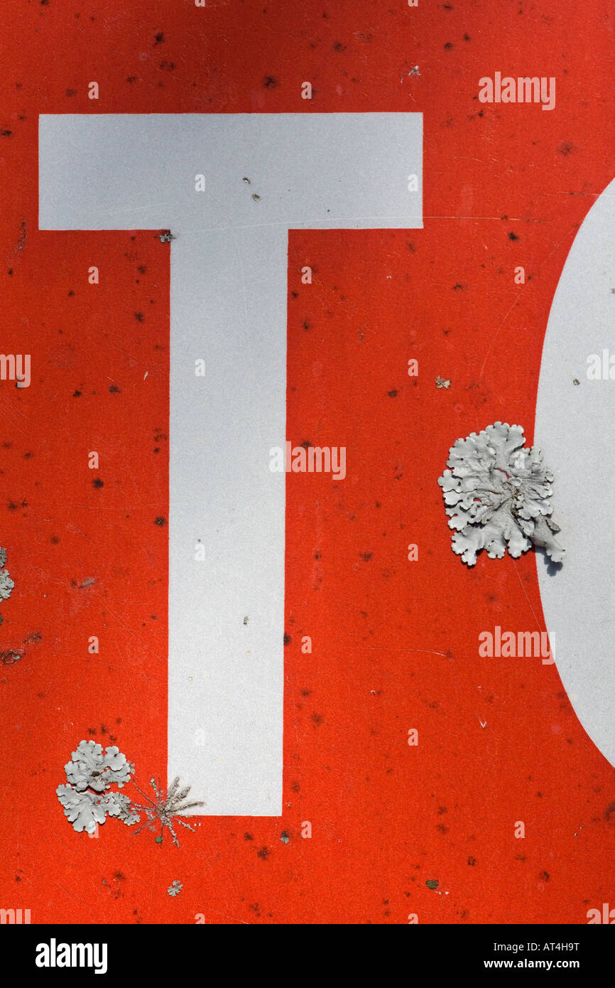 A foliaceous Lichen (Parmelia pastillifera) colonizing a roadsign.Lichen foliacé colonisant un panneau de signalisation routière Stock Photo