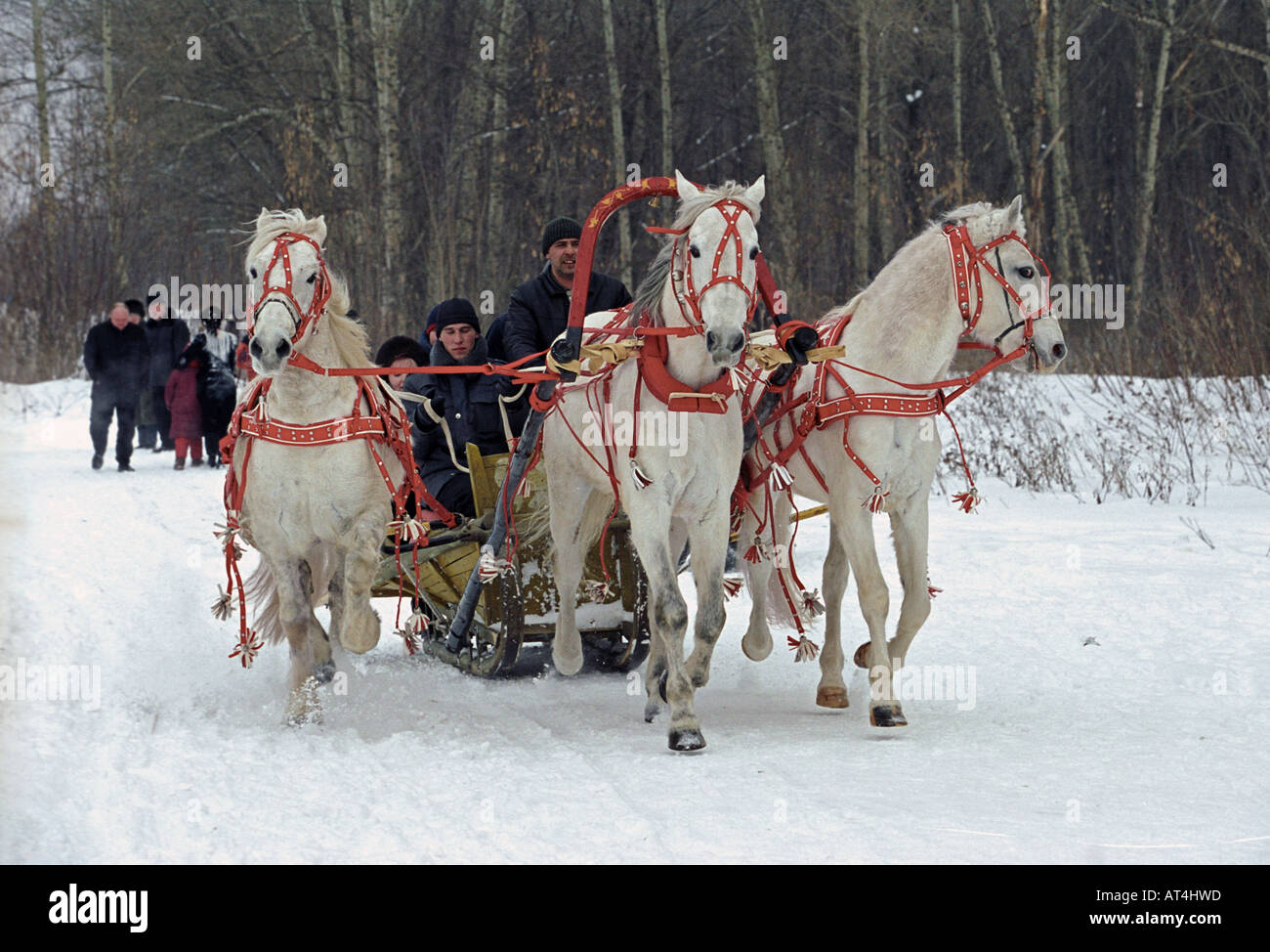 The troika has become a symbol of Russia Stock Photo - Alamy