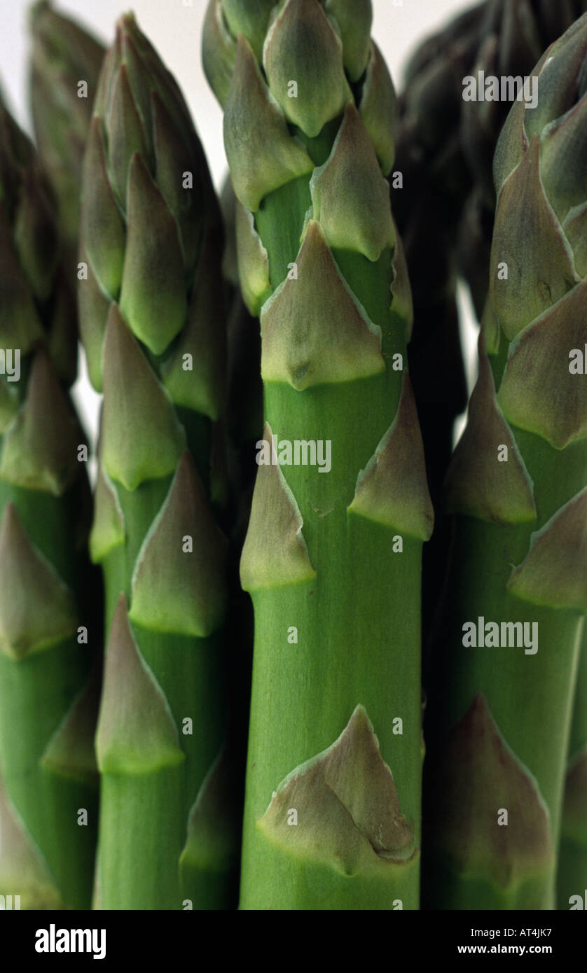Asparagus crown hires stock photography and images Alamy