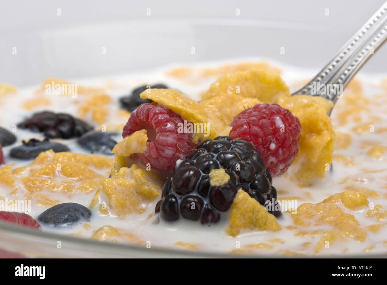 American cereal breakfast Stock Photo Alamy
