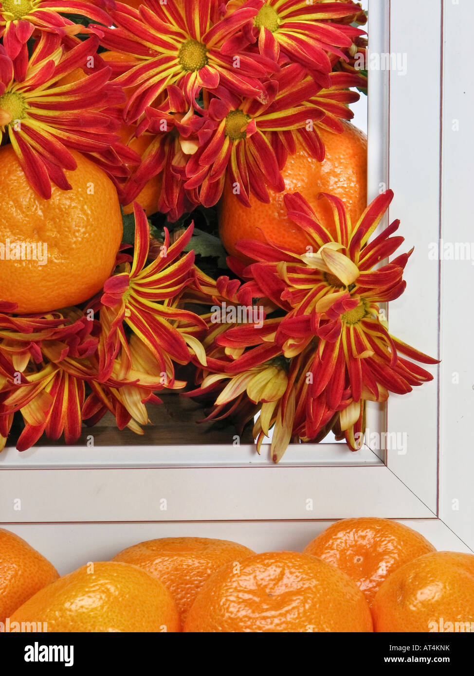 Orange fruit images wallpaper hi-res stock photography and images - Alamy
