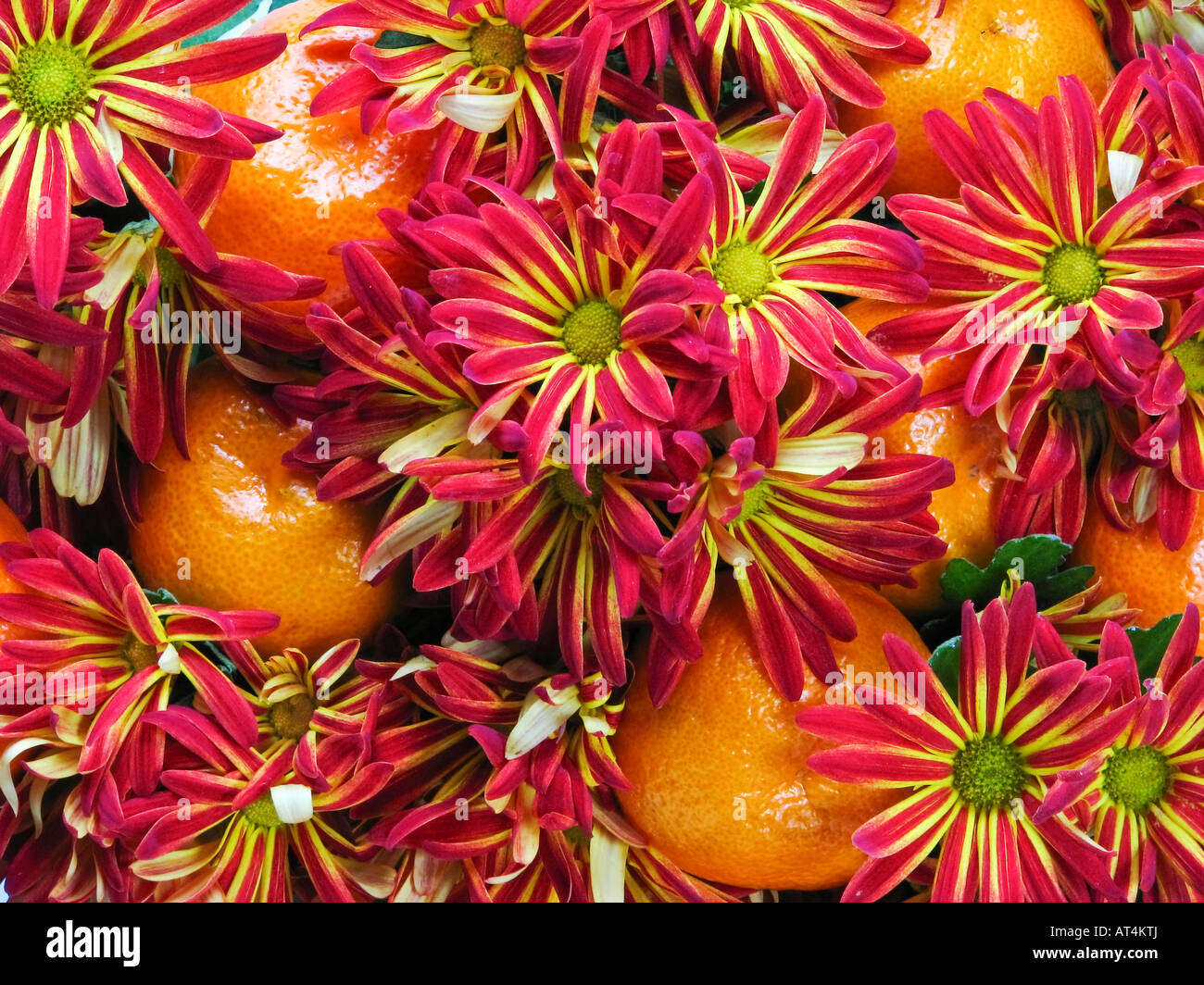 Arrangement hi res hi-res stock photography and images - Alamy