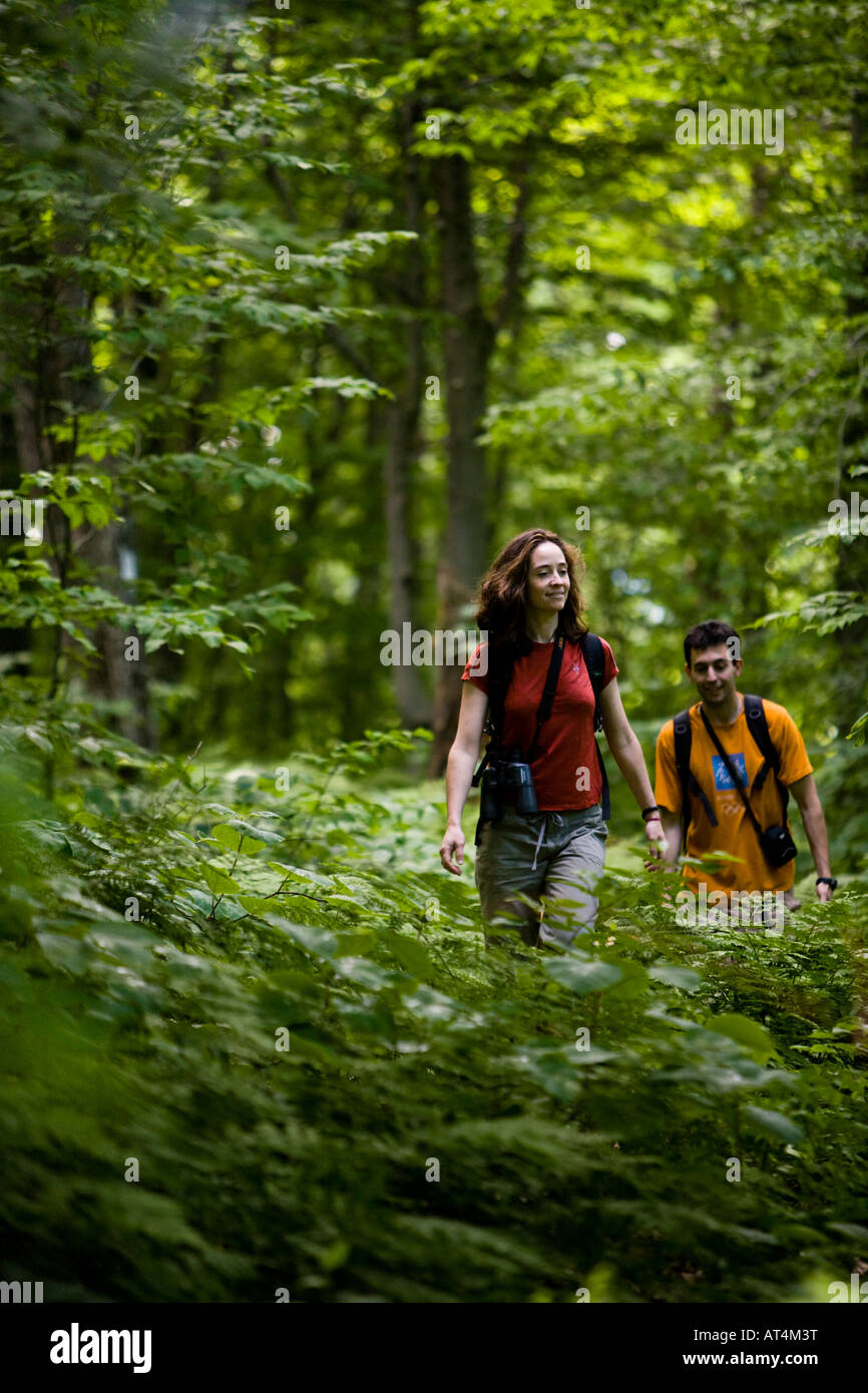 Hiking on the Long Trail in Vermont's Green Mountains. Eden, Vermont ...