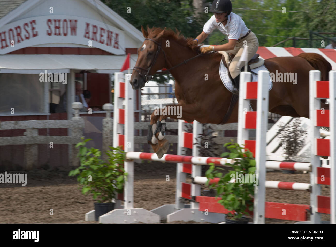 Horse show competition at the Erie County Fair and Expo in Hamburg New