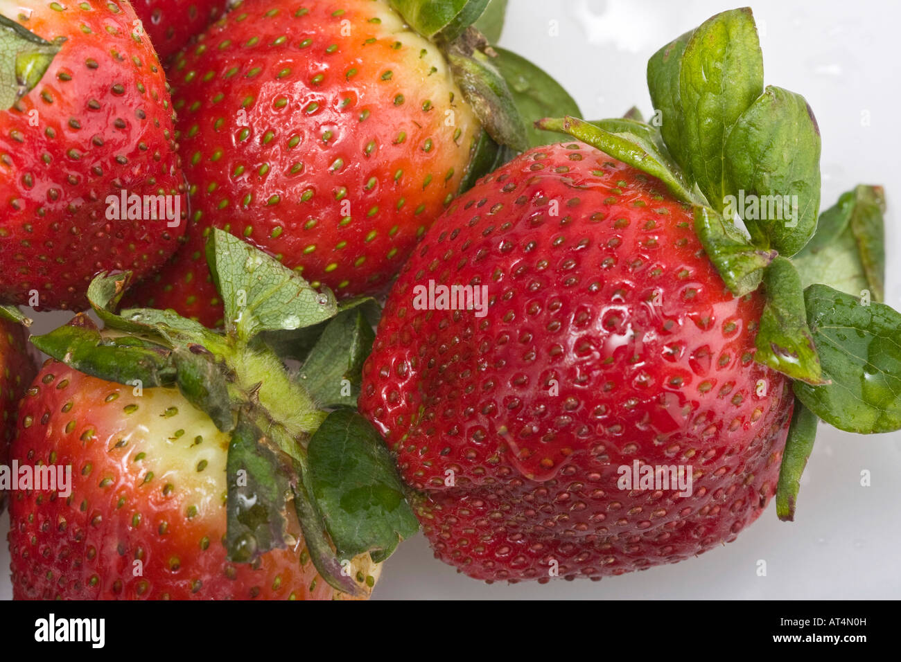 Promotion hi res hi-res stock photography and images - Alamy