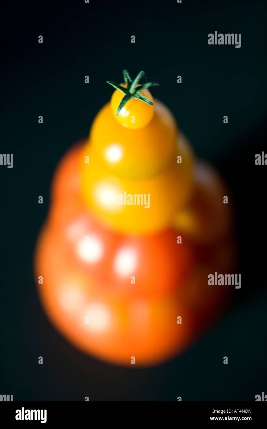 Homegrown Tomatoes Stock Photo