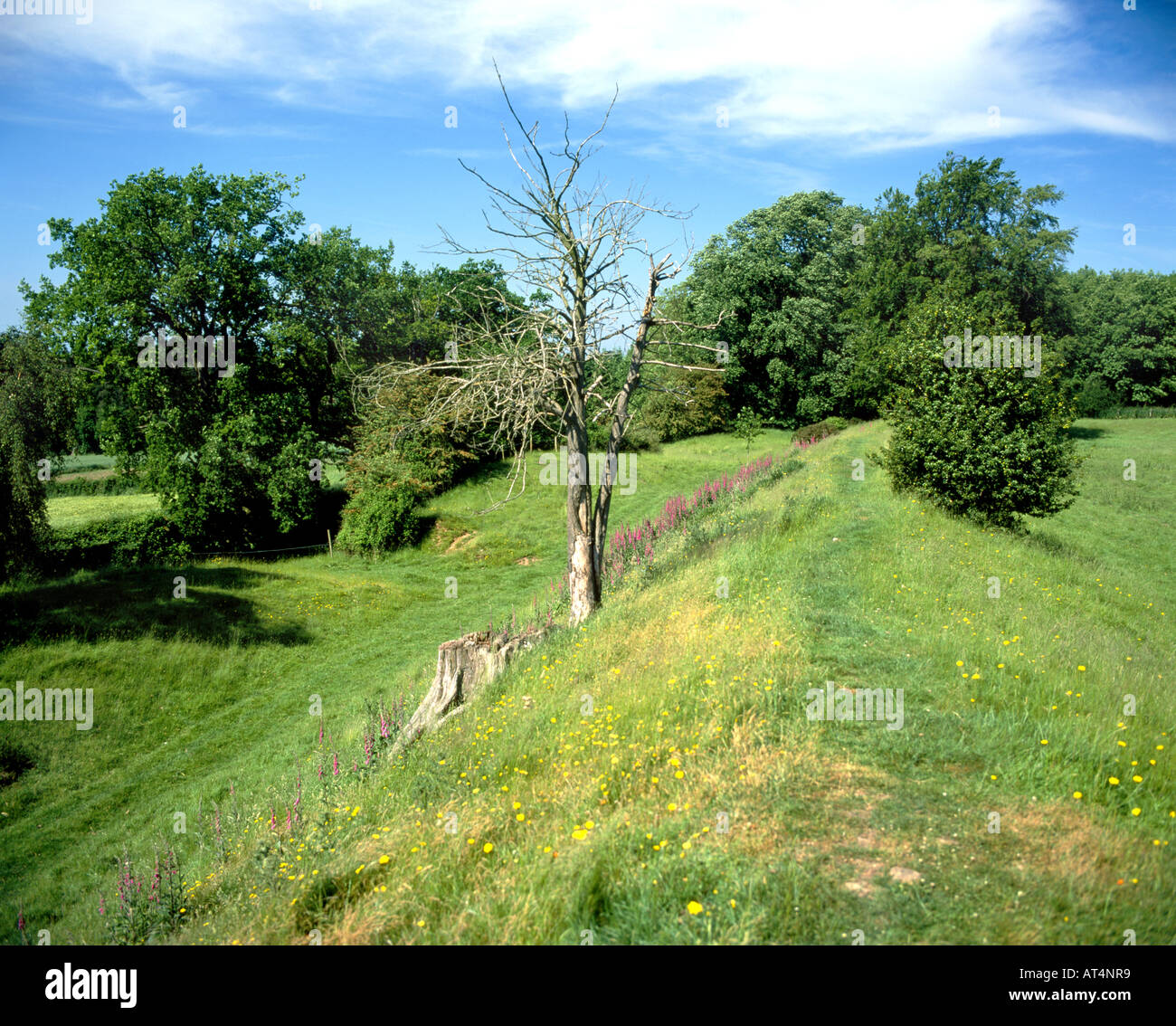 wye valley walk capler camp iron age hillfort between hereford and ross