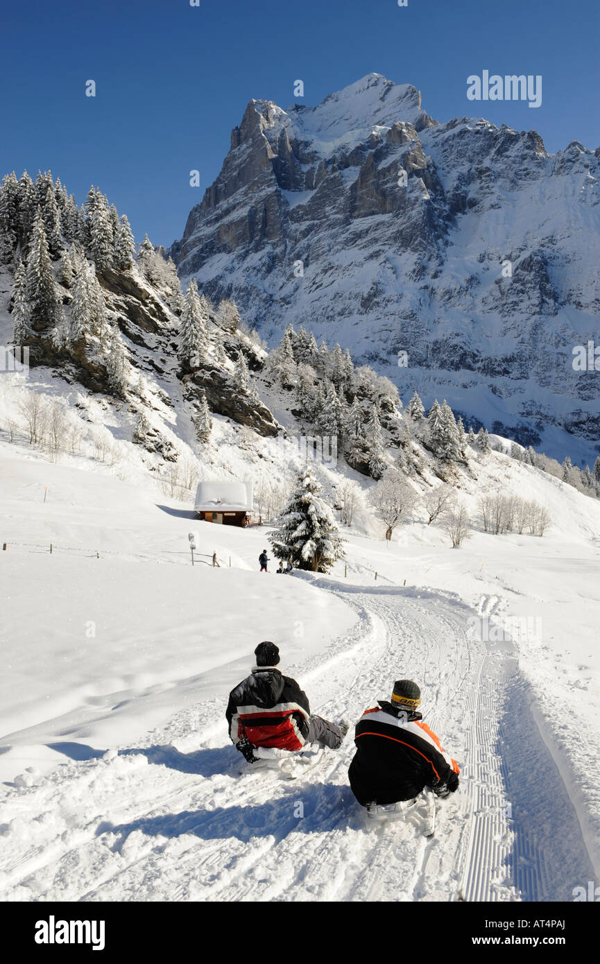 Sledge's Tobogganing down a toboggan run from Bort towards Grindelwald