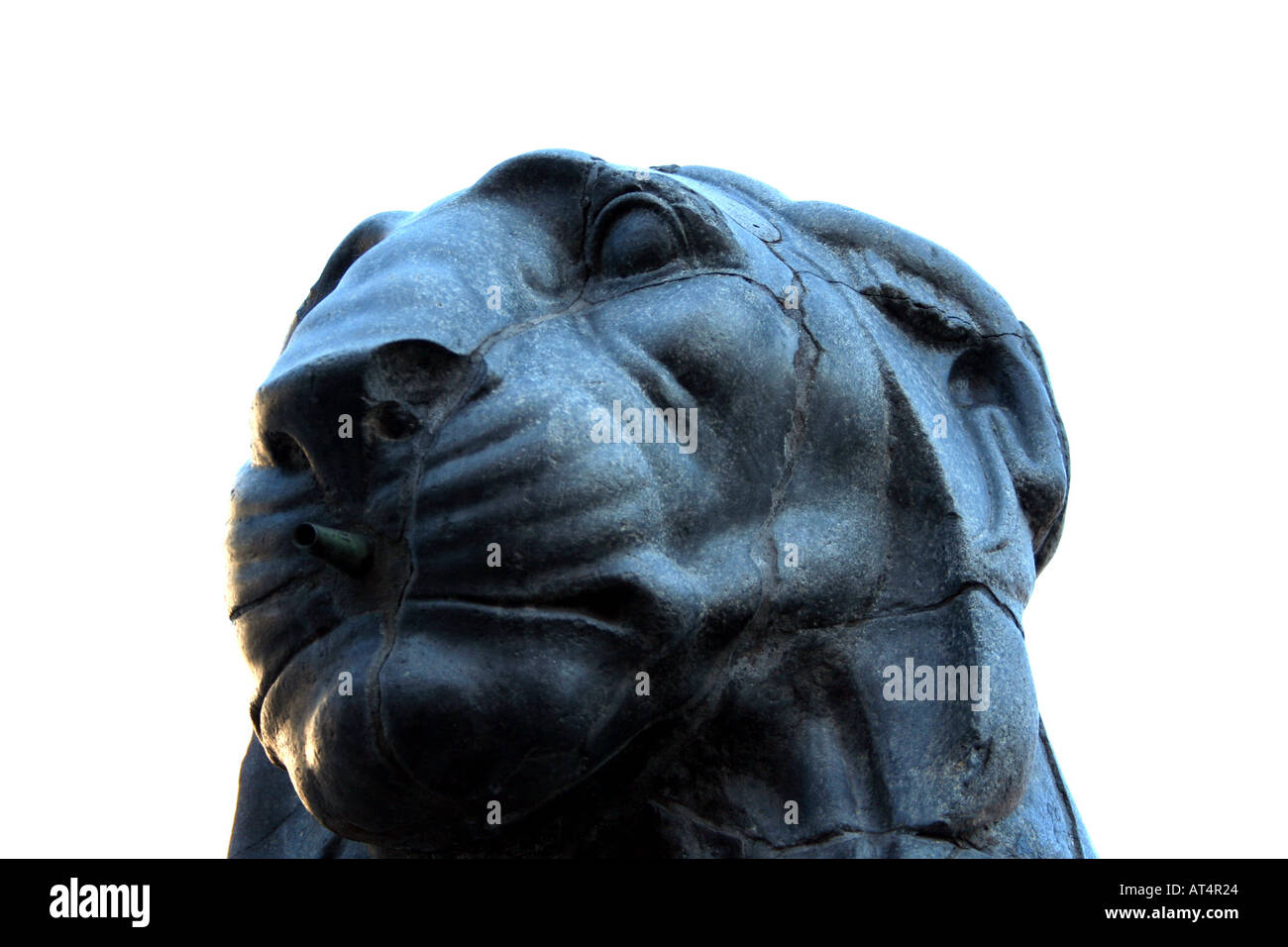 Head of the black marble Lion statue on Capitoline Hill (Piazza del