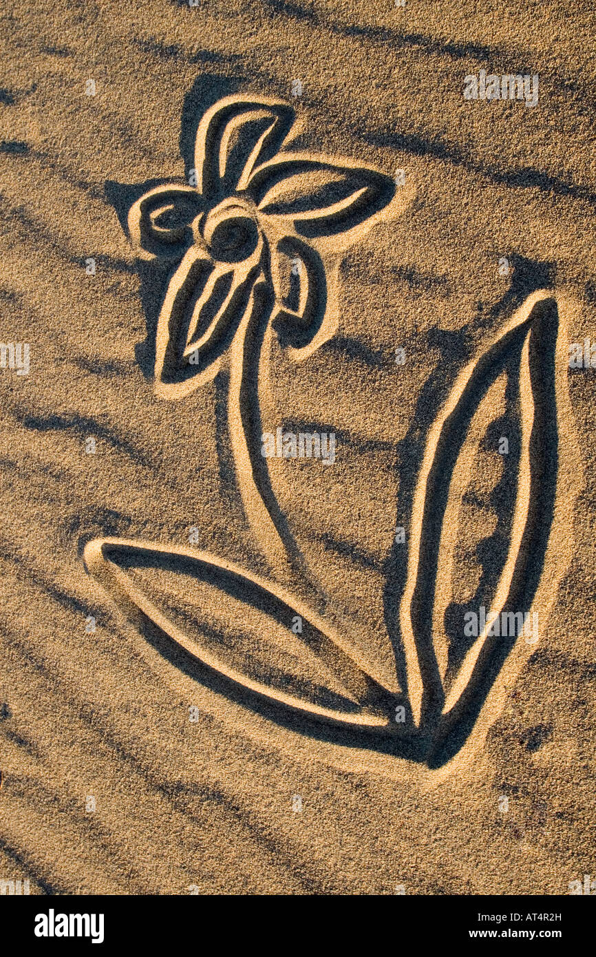 Drawings In The Sand Dunes In The Desert Stock Photo Alamy