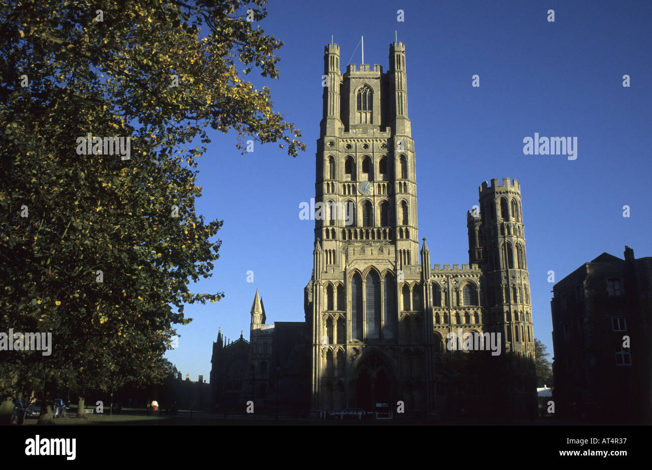 Ely Cathedral, Cambridgeshire, England, UK Stock Photo
