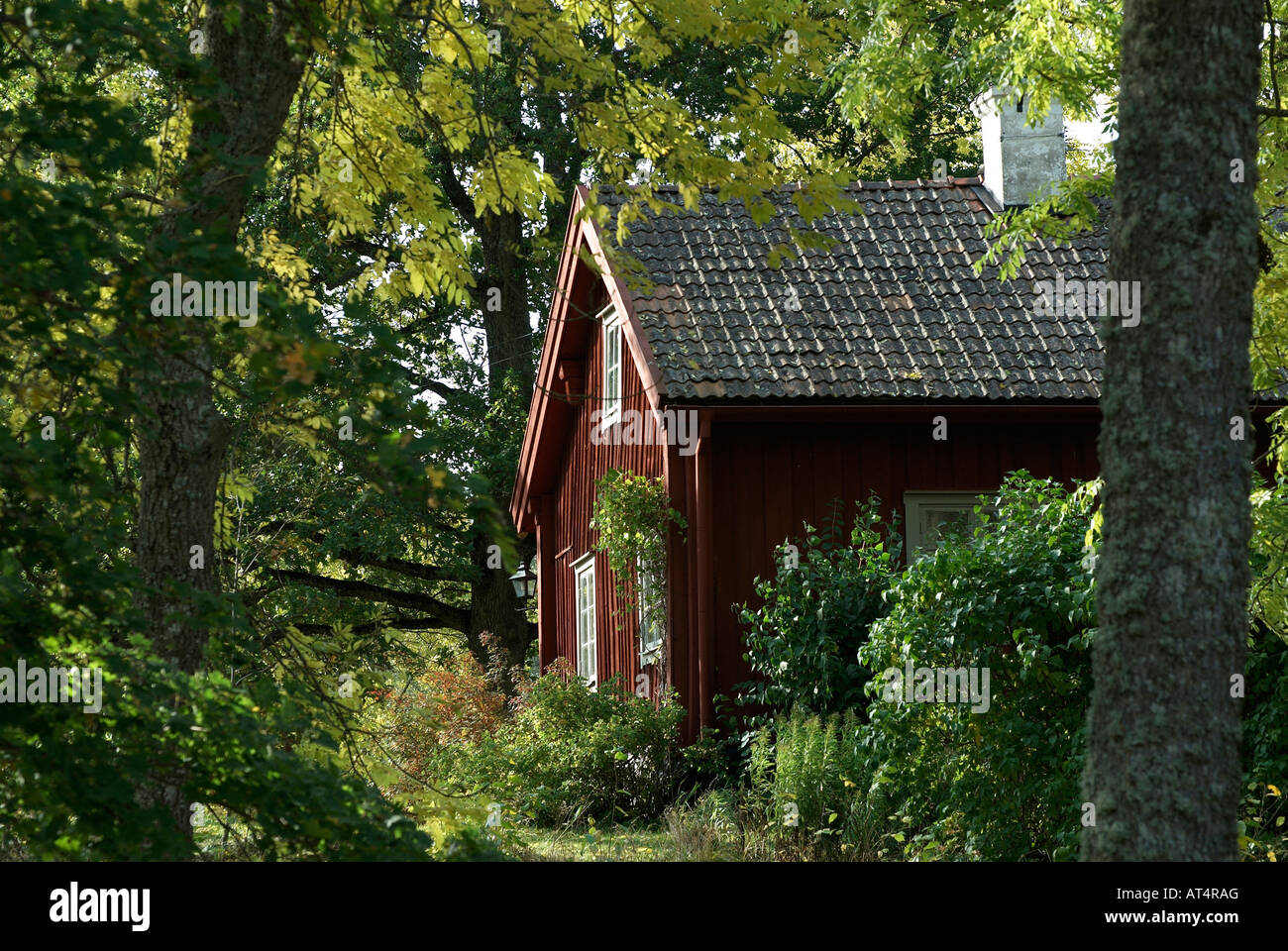 A typical red and white wooden Swedish house in the forest of