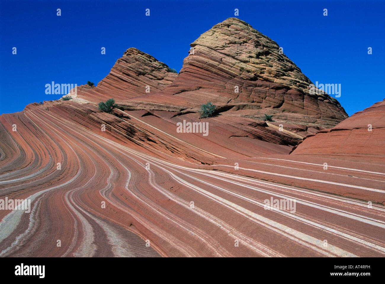 Stefan's Wave, Sandstone layers, Coyote Buttes, Paria-Vermillion Cliffs Wilderness, Utah Stock Photo