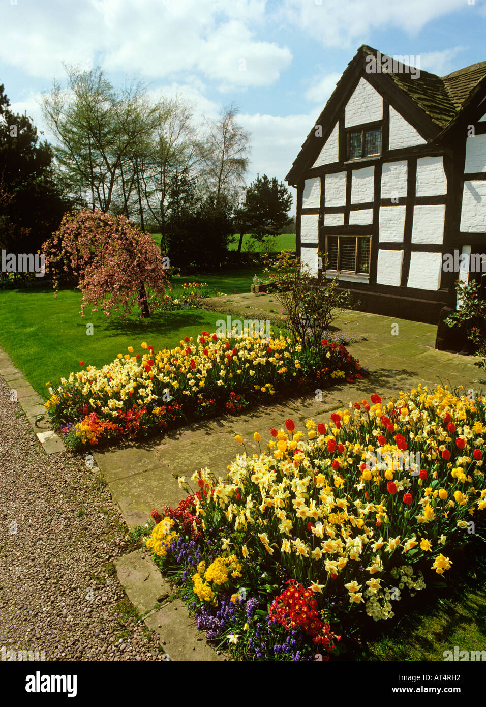 UK Cheshire Alderley Edge Hayman House colourful cottage garden in