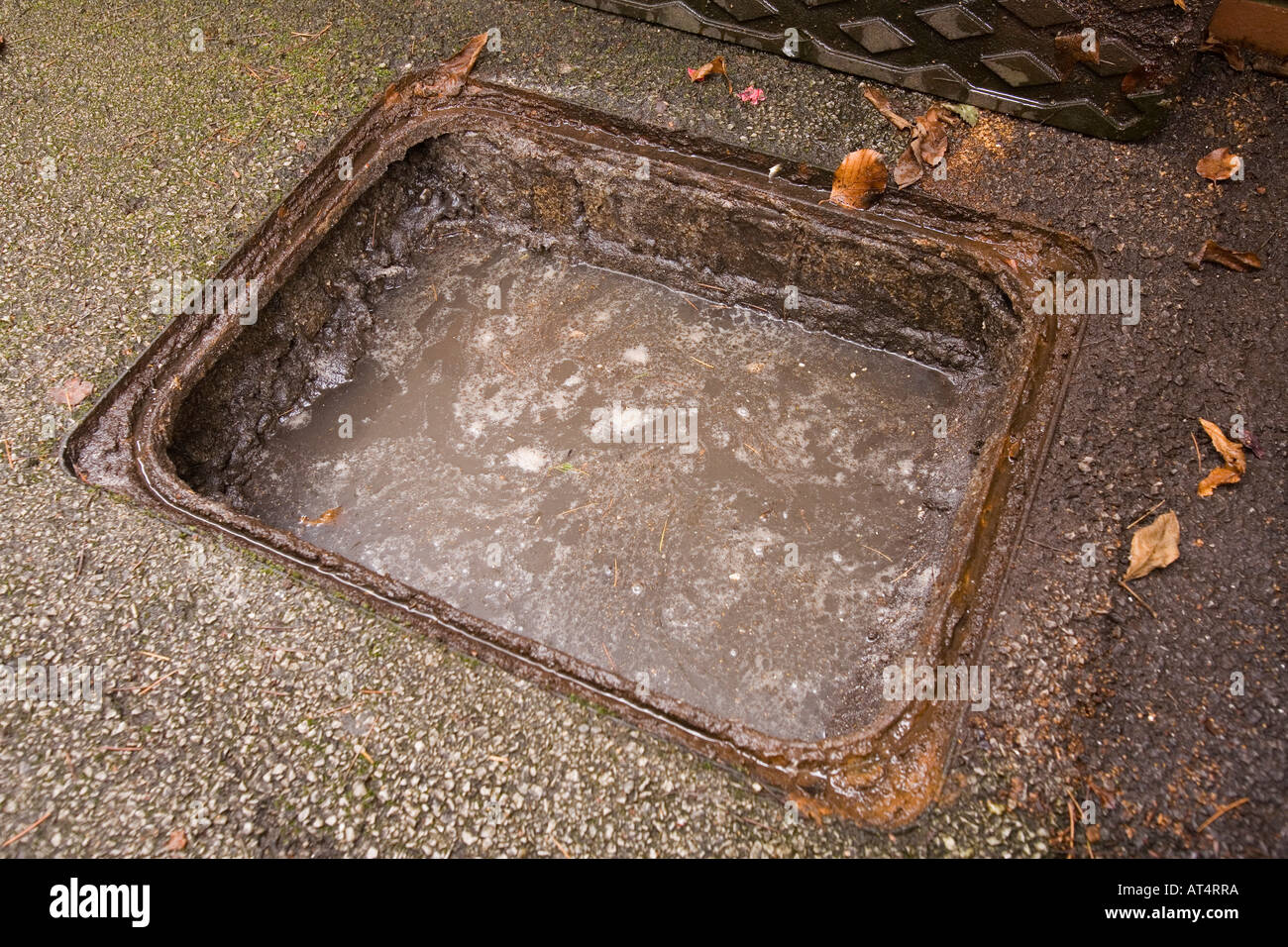 Blocked Sewer, Clogged Bath Drain With Fallen Out Hair Close Up, Hair Loss  In A BathroomStock Photo, Picture And Royalty Free ImageImage 135213957.