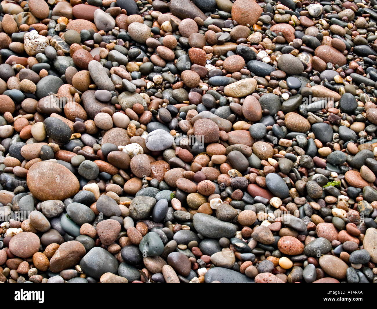 Pebbles on beach Stock Photo