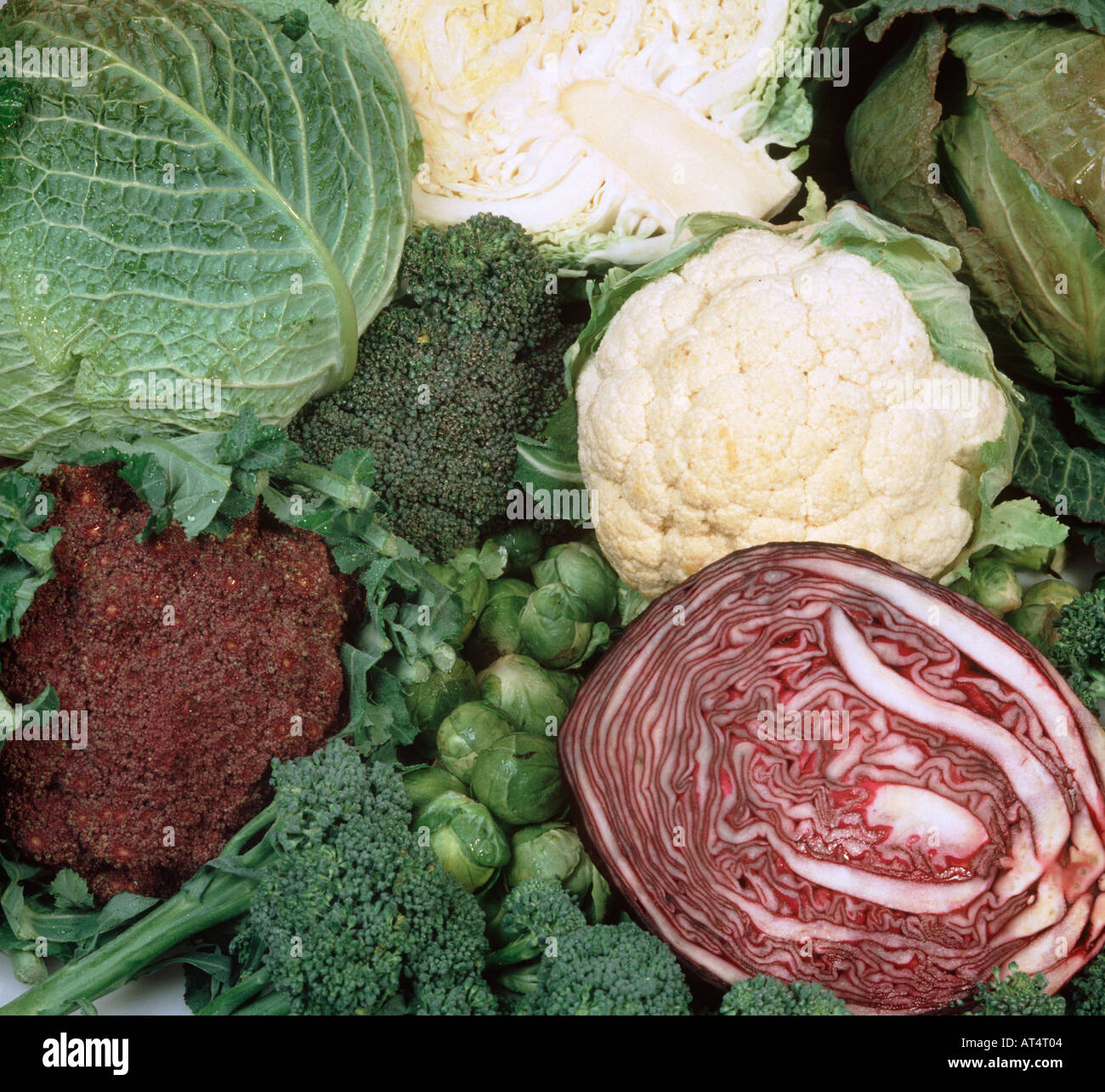 Brassica vegetables cauliflower cabbage brussels sprouts red cabbage Stock Photo