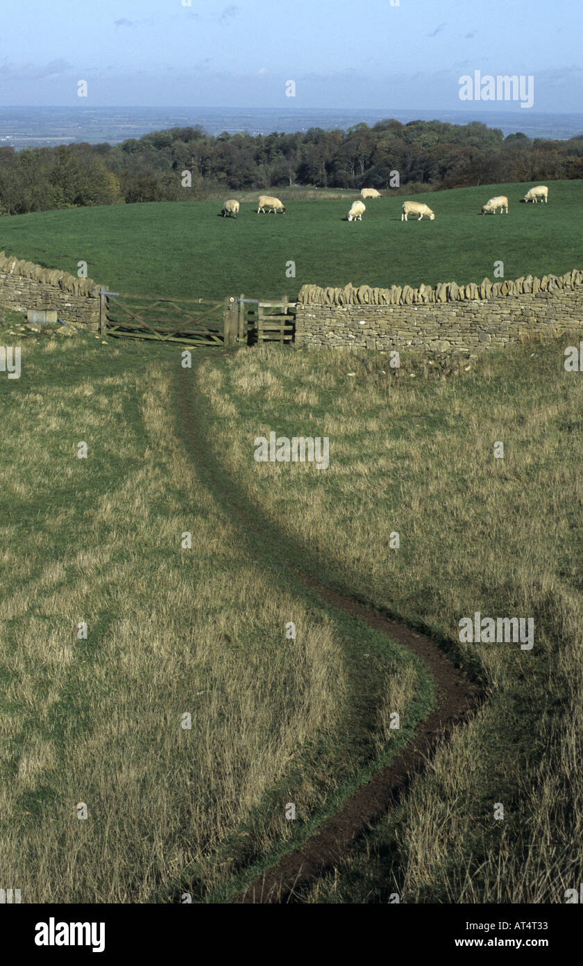 The Cotswold Way footpath near Broadway Tower, Worcestershire, England