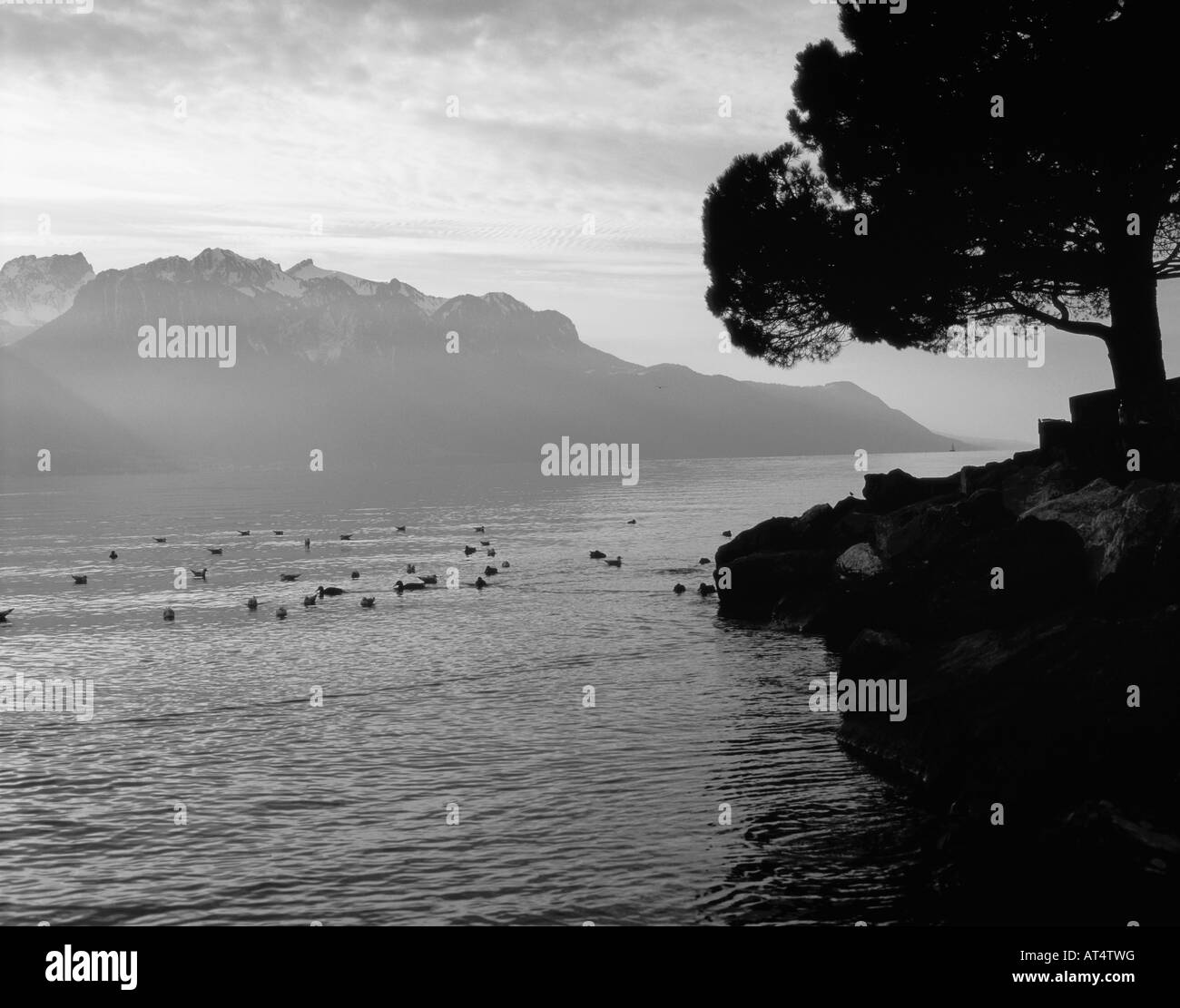 Black and white view of Lac Leman Switzerland, Stock Photo