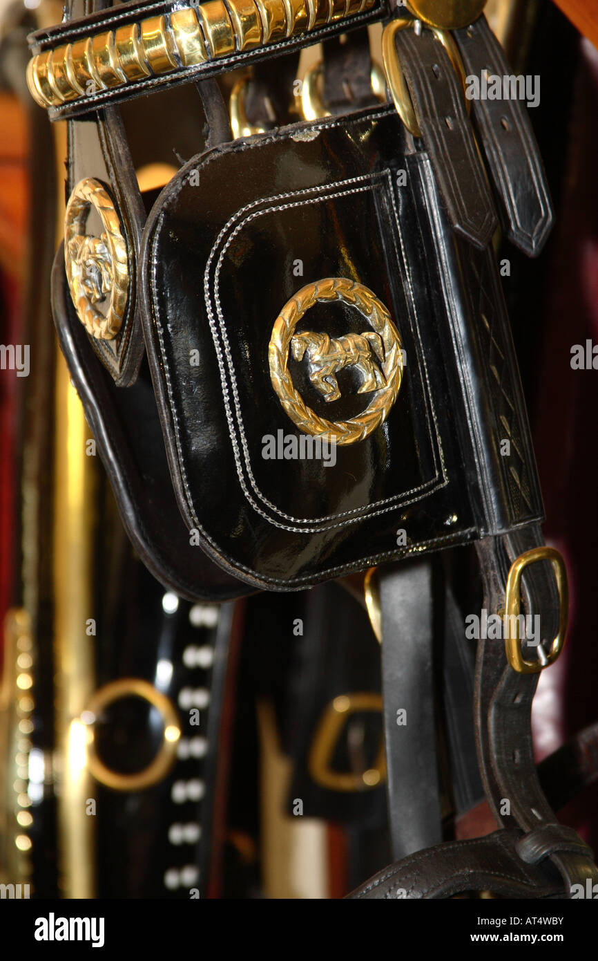 Working heavy horse harness hi-res stock photography and images - Alamy