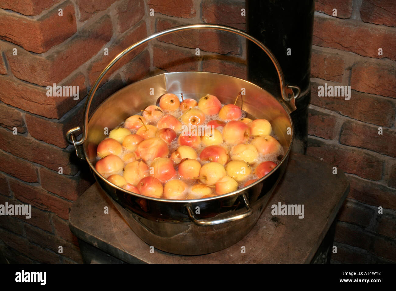 Making crab apple jelly with the variety Malus Dartmouth Stock Photo