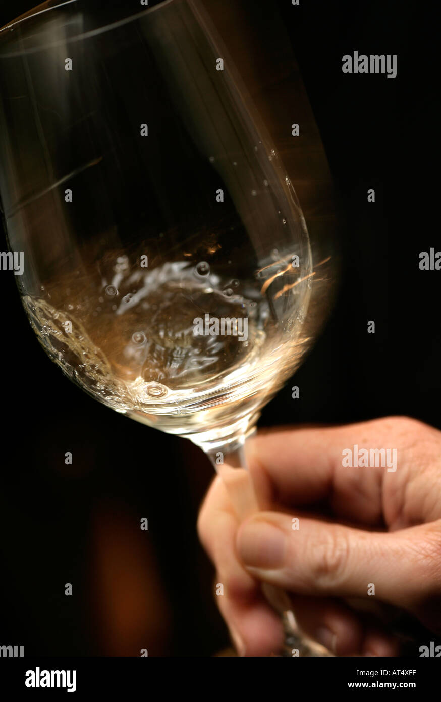 White wine being swirled in a glass Stock Photo