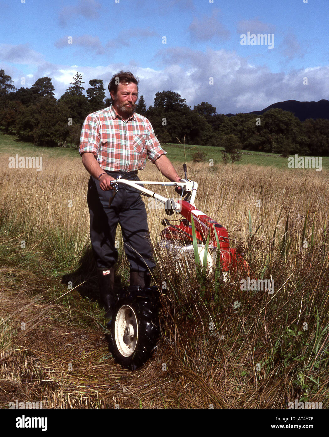 Warden cutting wild flower meadow in Loch Lomond Nature Reserve Stock Photo