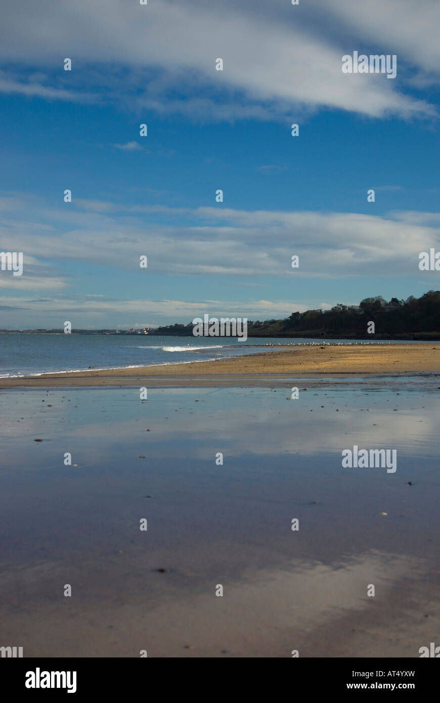 Near Helen's Bay, Belfast Lough, Northern Ireland Stock Photo