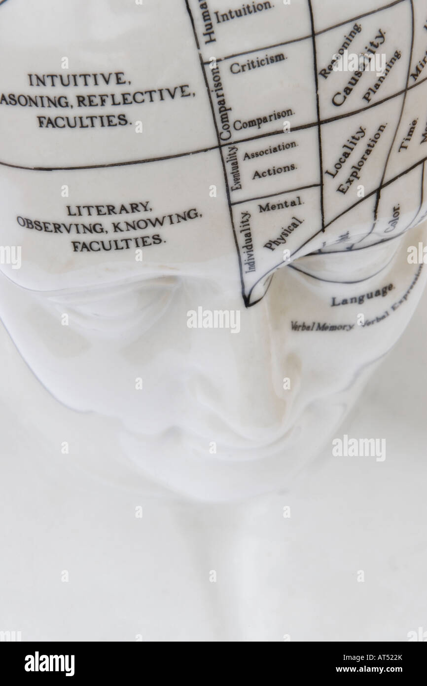 Phrenology Head Stock Photo