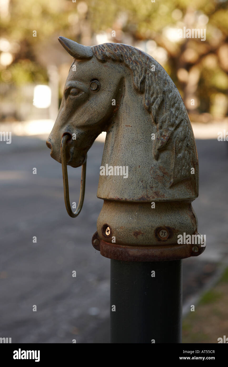 Horse head pole hires stock photography and images Alamy