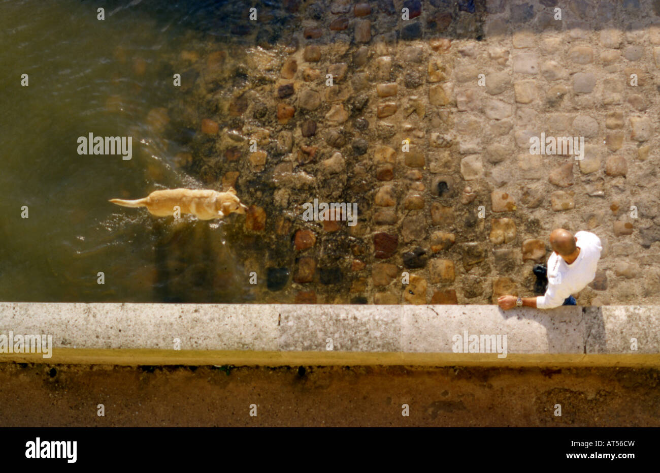 Dog River Seine Stock Photos Dog River Seine Stock Images Alamy