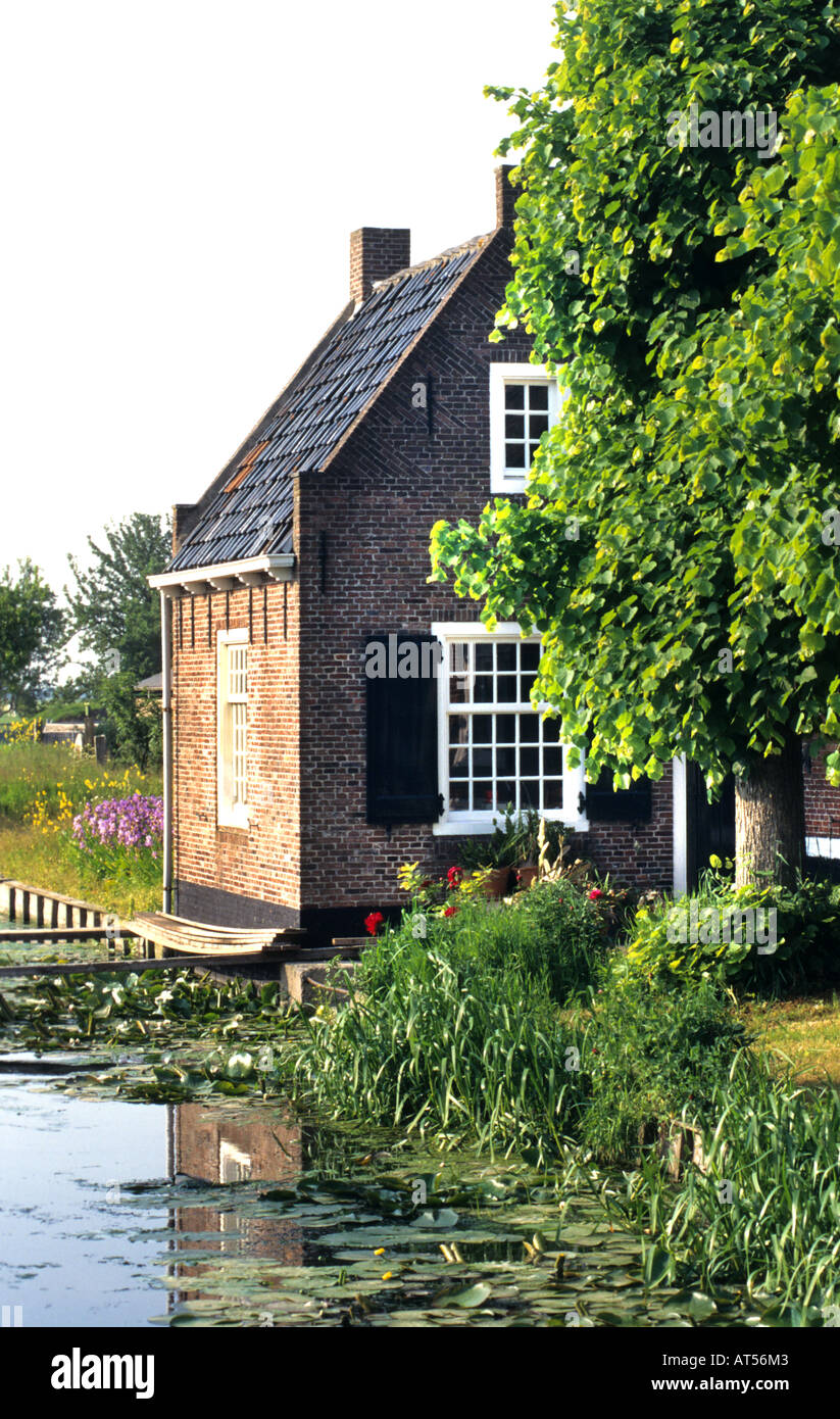 Zuid South Holland Farm Stock Photo Alamy