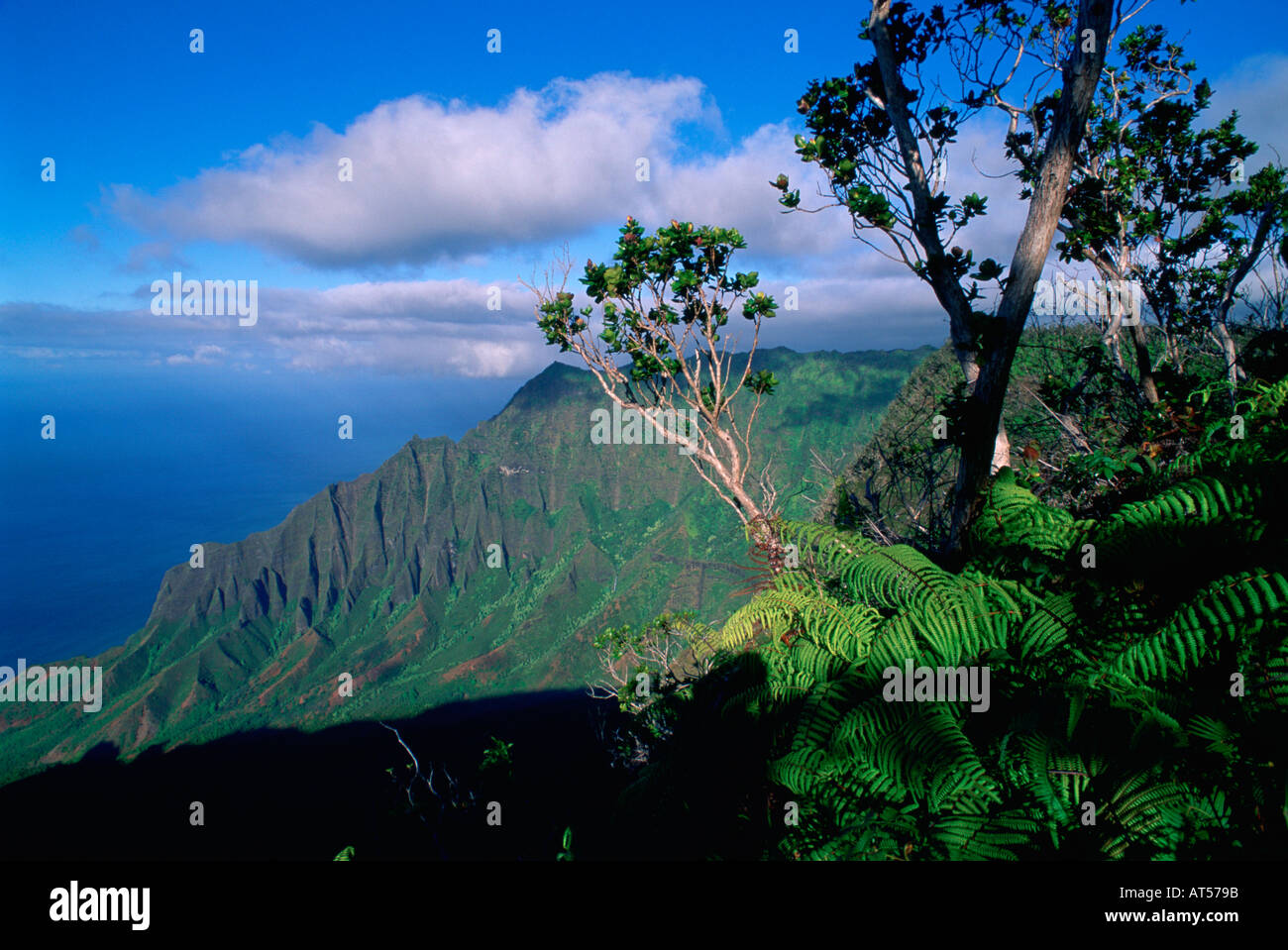 Kalalau Lookout Kokee State Park Waimea Canyon Kauai Hawaii USA Stock