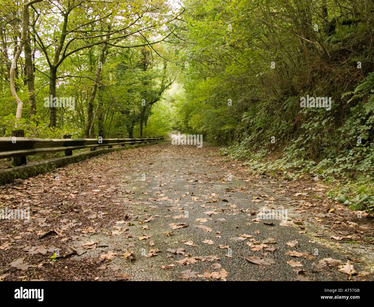 Old abandoned road, A494, an old roman road, now bypassed, between Bala ...